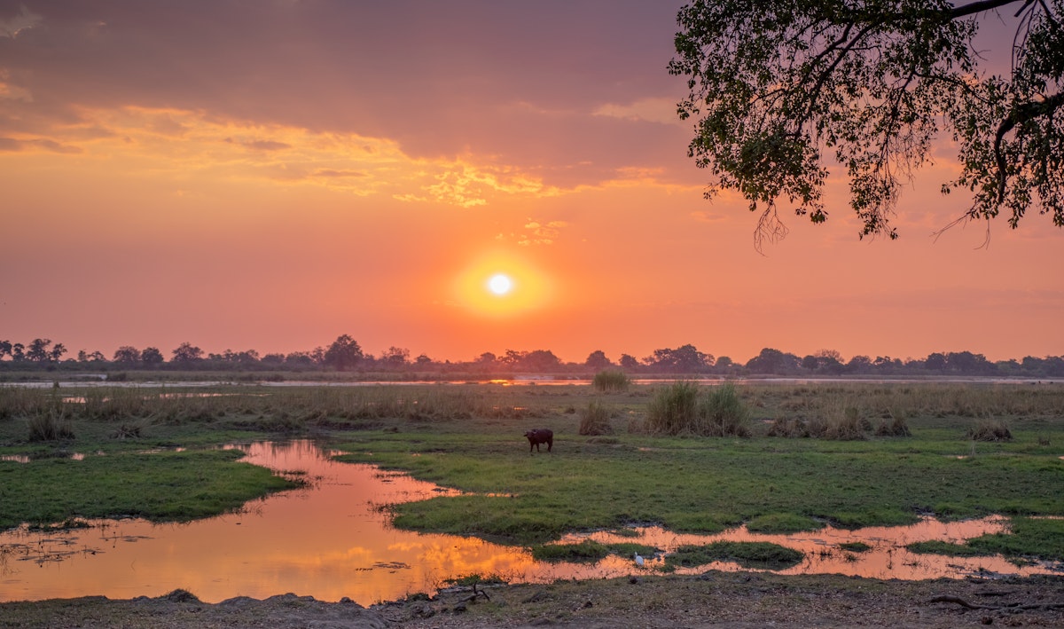 Travel Guide To Caprivi Strip Namibia Tourdoo